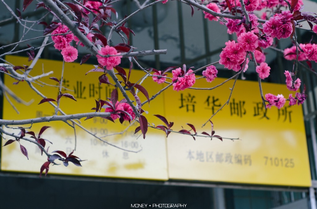 转眼要毕业。<br />
<br />
2013. 3. 27