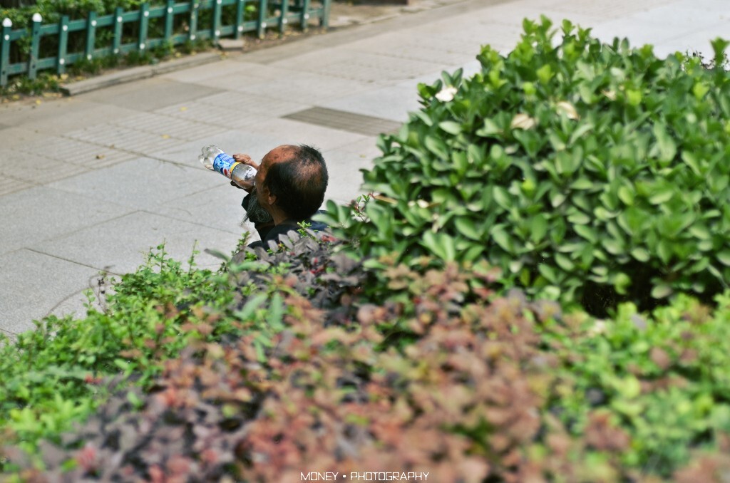 拾荒者
