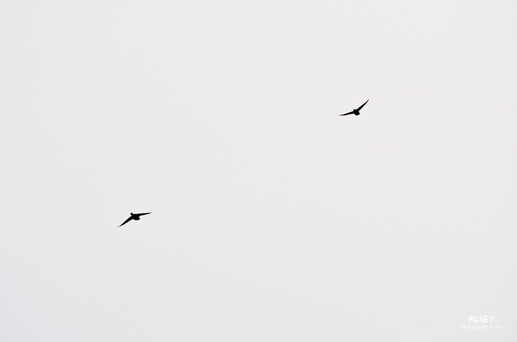 2014. 2. 8
