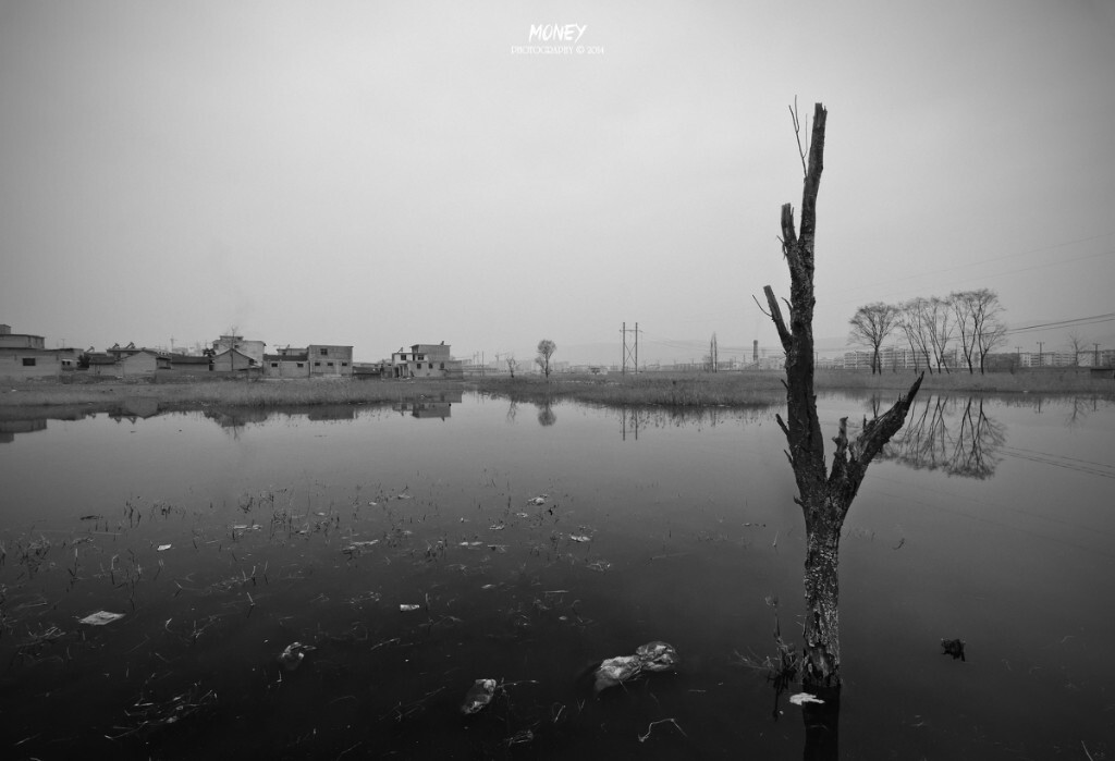 2014. 2. 20