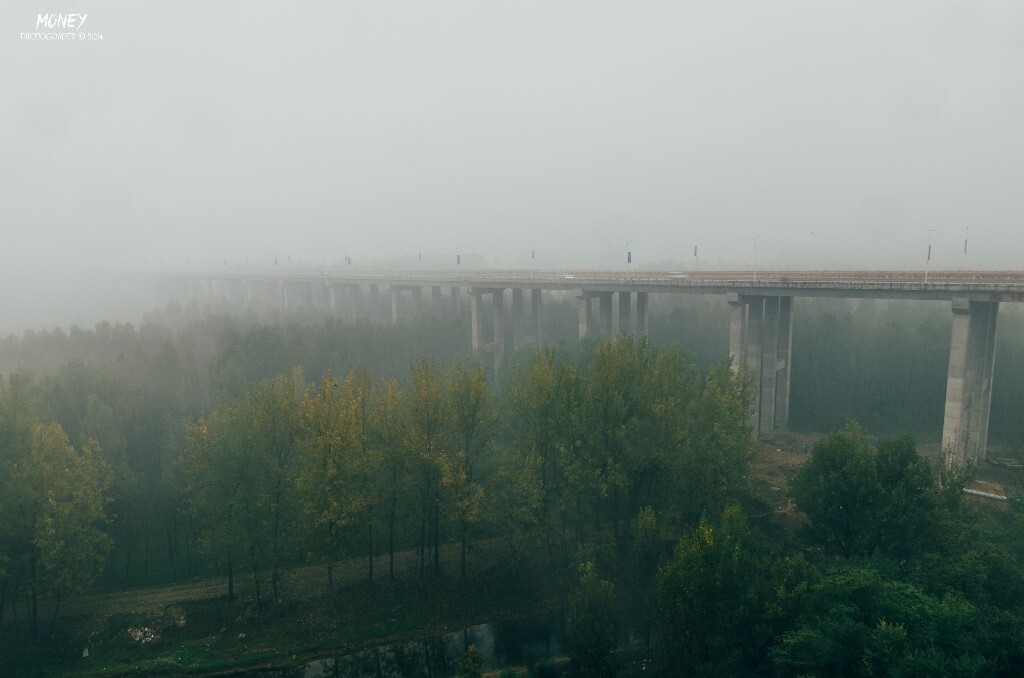 2014. 10. 31