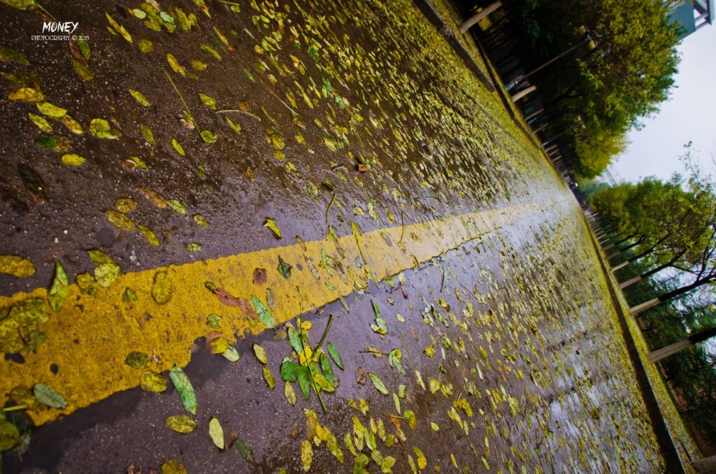 road
