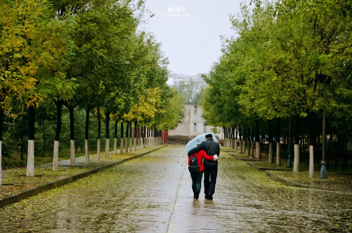 一路风雨，我陪你