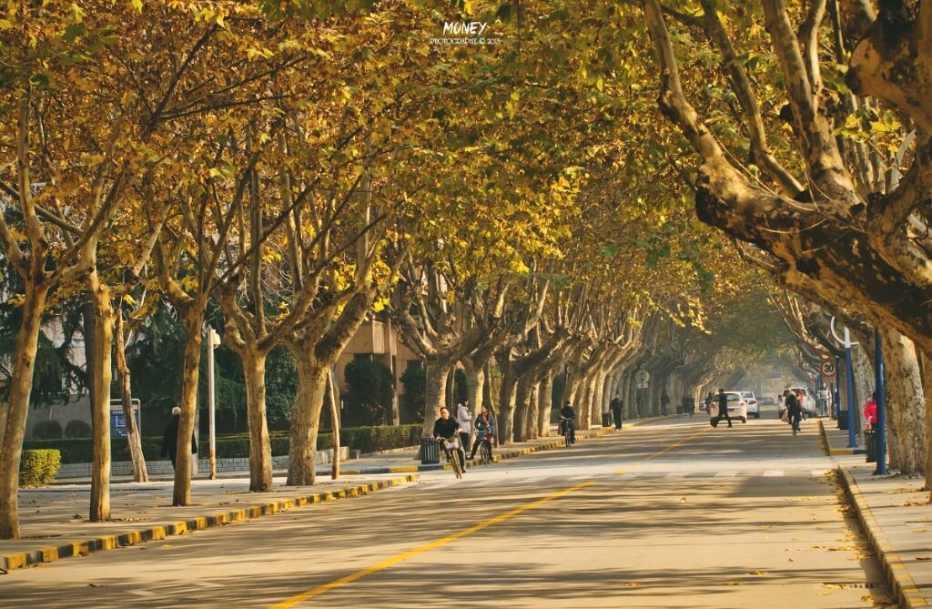 宽阔的道路，两边高大的梧桐树，还有傍晚骑着老二八回宿舍的老教授。<br />
<br />
西北工业大学<br />
2013. 12. 3