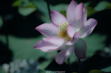 DSC_9557副本.jpg