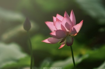 DSC_9561副本.jpg