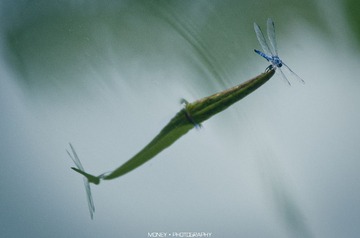 DSC_9669副本.jpg