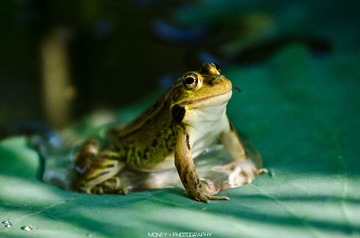 DSC_9752副本.jpg