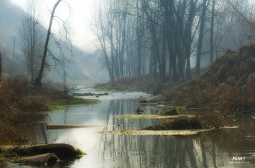 DSC_3003fb 