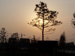 照片003 065.jpg