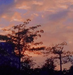 1808743