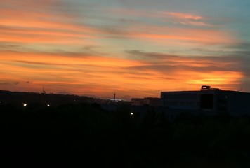 1293517