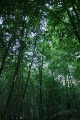 0DDC7826-C1B3-4316-B3C2-93620E3032D8/L0/001