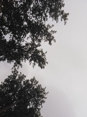 1328591