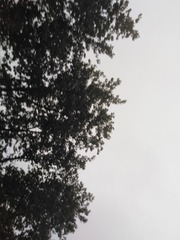 1328590