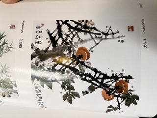 C8AB52C1-6B27-4F6E-91A4-333F6BD21765/L0/001