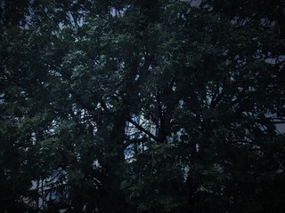 1552844