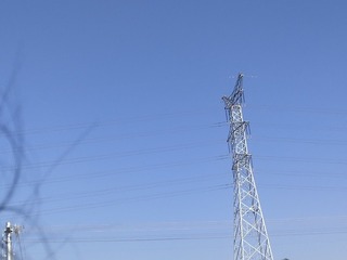 1543345