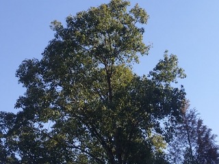 1543340