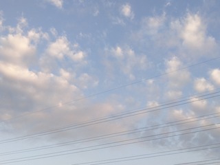 1543293