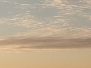 1542761
