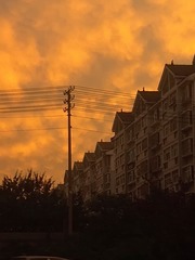 4555