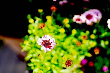 19B68EFB-0BF9-4638-B75F-EA864EC4F63C/L0/001