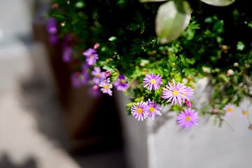 80CD502F-965A-4B5F-AA0A-3A5F5753CFEF/L0/001