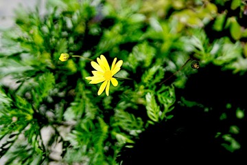71413F79-6F29-4DD2-8284-2A51FD58BF78/L0/001