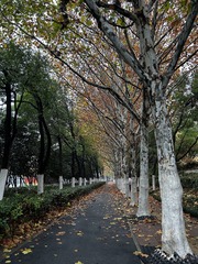 069791DD-A1F0-47DB-9247-7C31F7ECBF96/L0/001