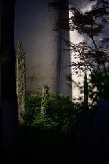 1000026631