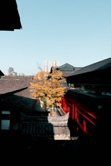 9601F70D-58C1-42DA-848E-2F27592C9341/L0/001
