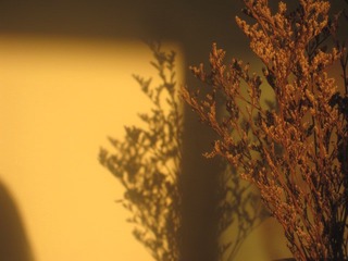 2E7EF398-E0EA-4D1B-B423-24C5FFC1527F/L0/001