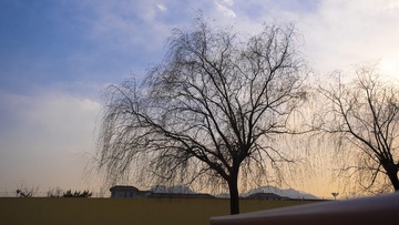 3C9F3BEF-5281-4E91-BA0C-3160F248DD75/L0/001