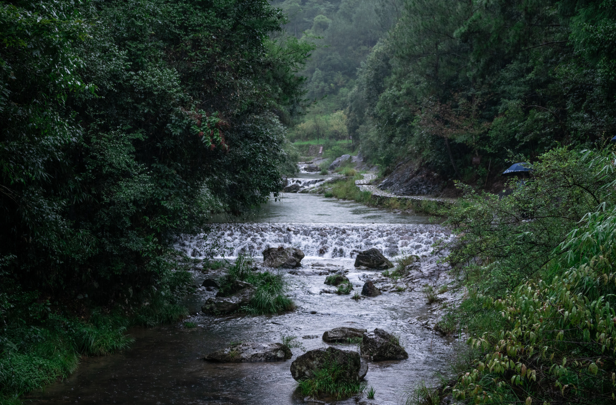 林间溪流