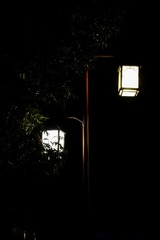 59B9CBF9-2351-46E3-9B9E-6739E4D78EB7/L0/001
