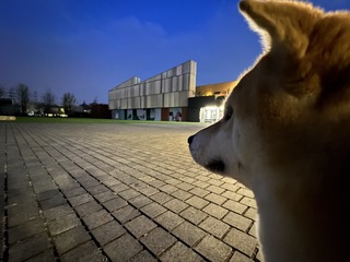5BD94408-D2C8-414A-8EB4-049453112585/L0/001