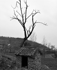0B431E37-3595-4D24-8D73-E2635624FA15/L0/001