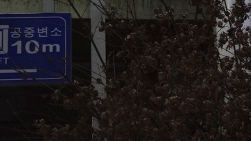6F0C9675-0353-453A-82A1-8EE10B9F60DC/L0/001