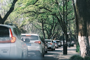 CE20D58E-A191-4D40-8B14-3B9604C0B108/L0/001