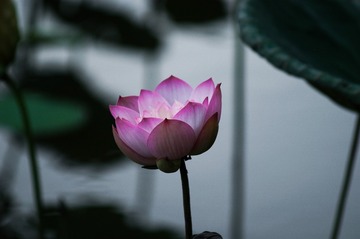 77505