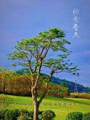 8B497349-71CD-4A08-9781-EB929403653C/L0/001