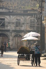 _DSC0370 小图