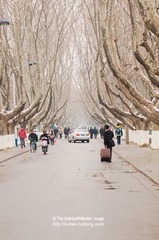 三号路