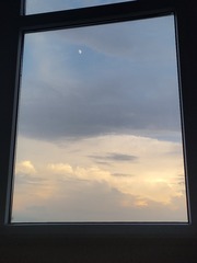 1000023454