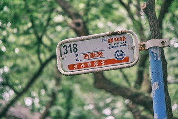267655