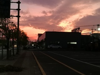 1017296