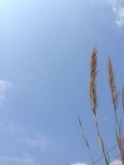 90C760C8-5261-45F3-880D-4F0781F06B0B/L0/001