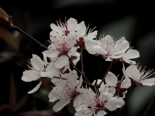 7A496612-56EA-46A5-9630-37C45D209854/L0/001