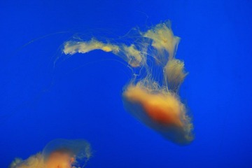IMG_0278.JPG